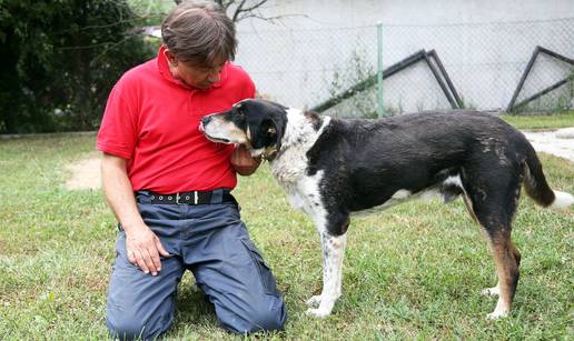 'Luja nitko nije htio udomiti jer je prevelik. To me rasplakalo'