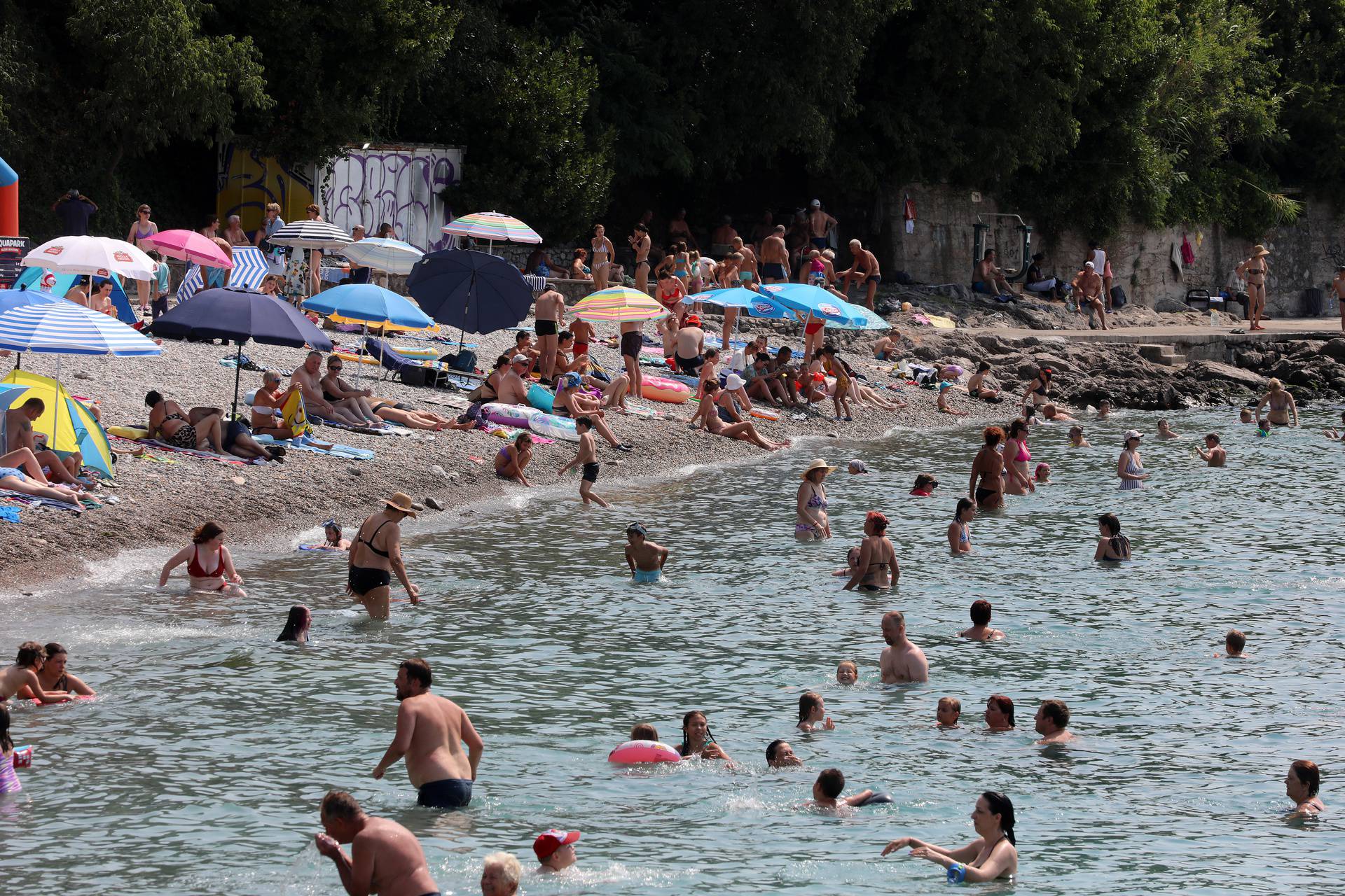 Rijeka: Mravinjak na plaži pod stadionom na Kantridi