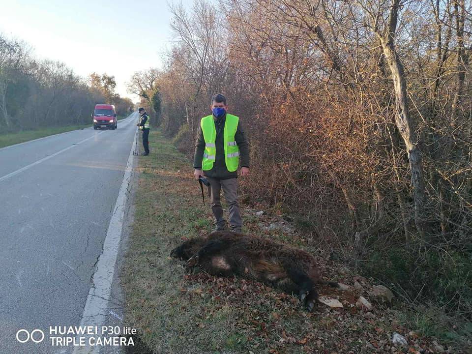 Željko iz 'Ljubavi na selu' autom usmrtio vepra od 130 kilograma