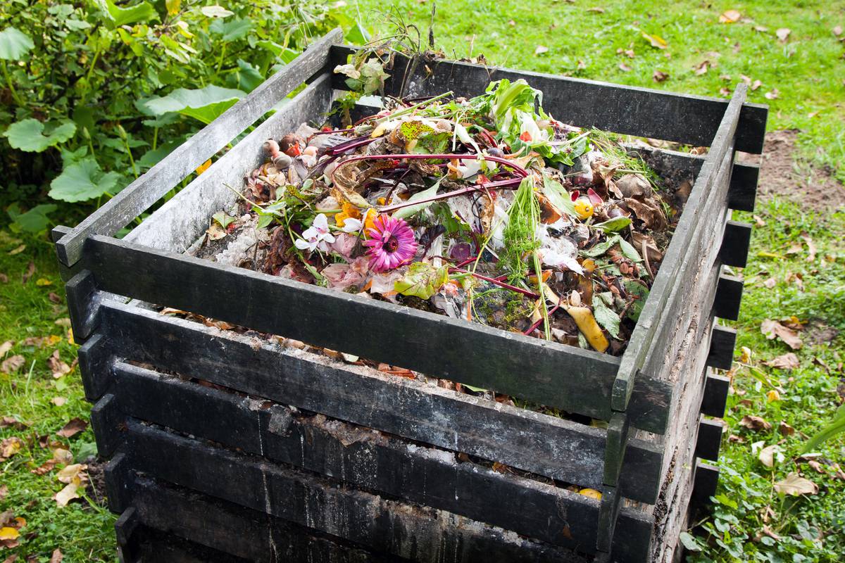 Napravite vlastiti kompost kod kuće za vrt: Topla metoda je brža, a kod hladnije priroda radi