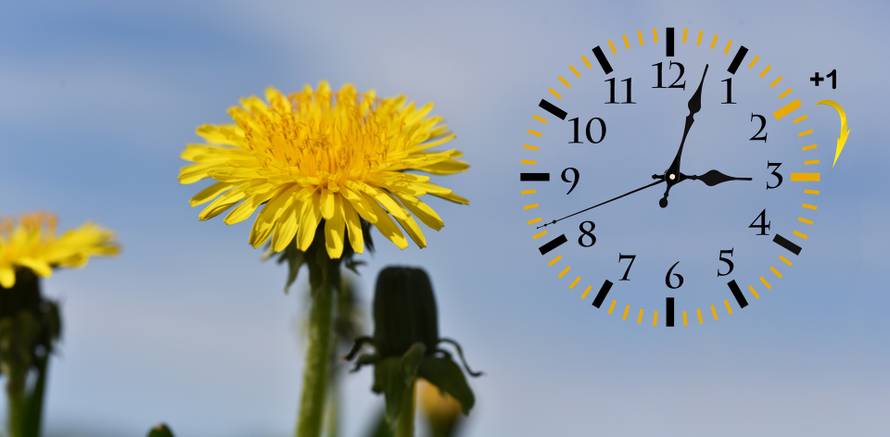 Evo zašto pomičemo kazaljke