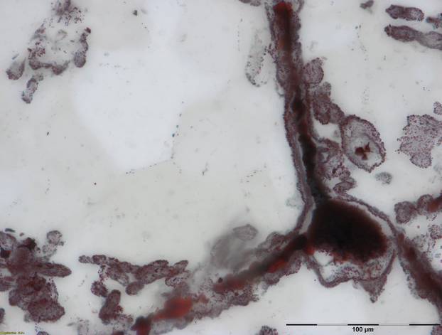 A haematite filament attached to a clump of iron (in the lower right), from hydrothermal vent deposits in the Nuvvuagittuq Supracrustal Belt in QuÃ©bec, Canada is pictured in this handout photo