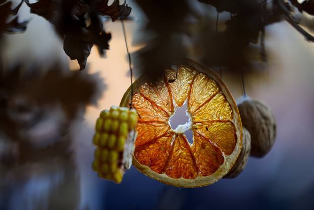 Zagreb: Primanje u prigodi pravoslavnog Božića priredilo je Srpsko narodno vijeće
