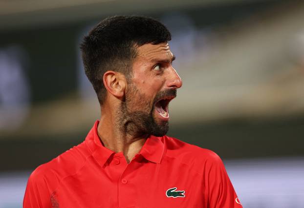 Djokovic lost the set and inserted into a higher speed: ‘Fid’ Zvereva for a clash with a Sinner in Paris!