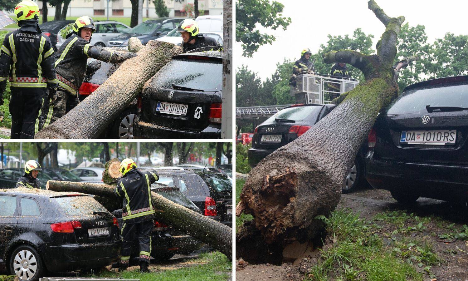 Drvo u Zagrebu palo na aute: 'Užas, samo je počelo pucati'