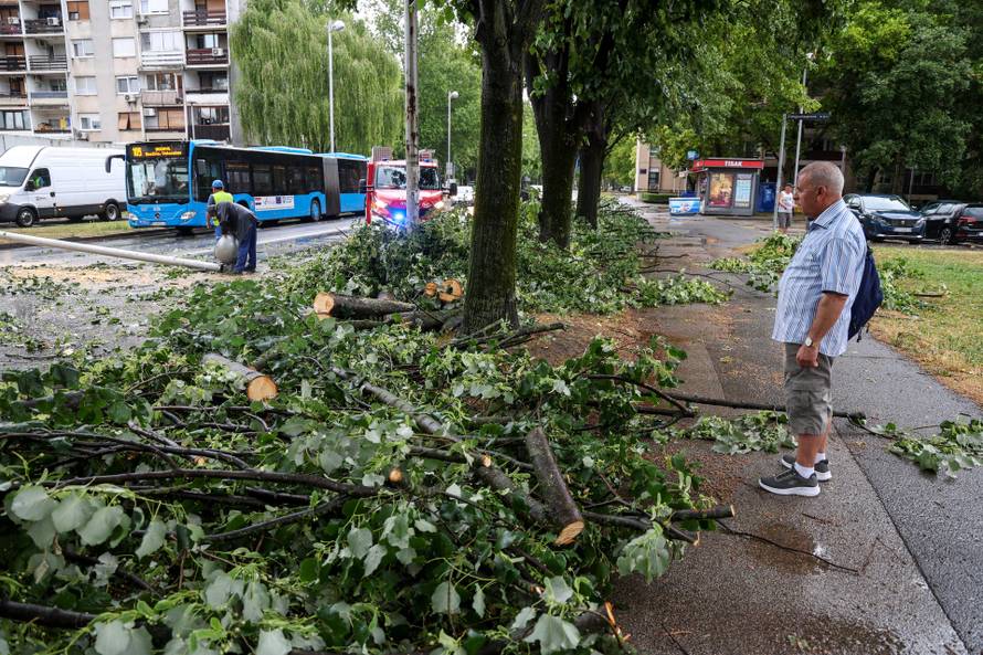 Zagreb: Vatrogasci uklanjaju stablo koje je palo u Ulici Svetog Mateja