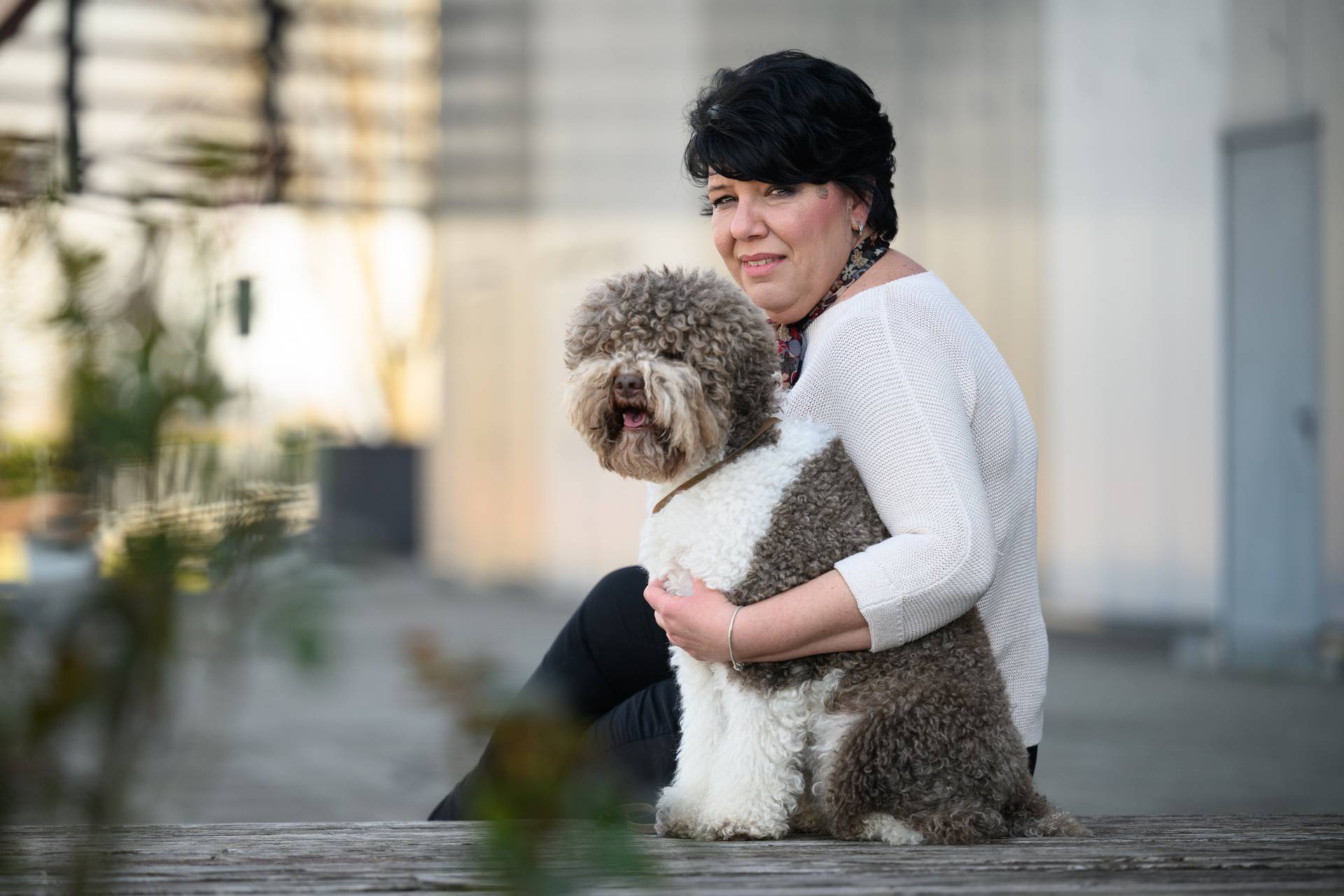 Zagreb: Orca, pasmine lagotto romagnolo, pobijedila je na najprestižnijoj izložbi pasa na svijetu