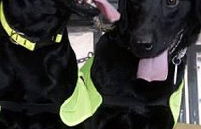 Psi tragači dobili otkaz zbog mokrenja i skakanja