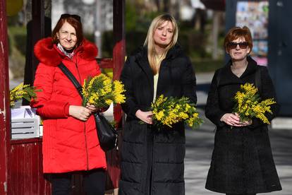 FOTO Diljem zemlje obilježava se Dan mimoza - Nacionalni dan borbe protiv raka vrata maternice