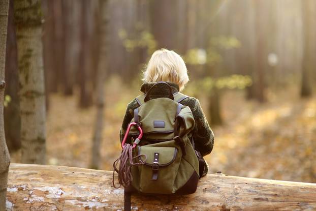 Little boy scout during hiking in autumn forest. Child is sitting on large fallen tree.