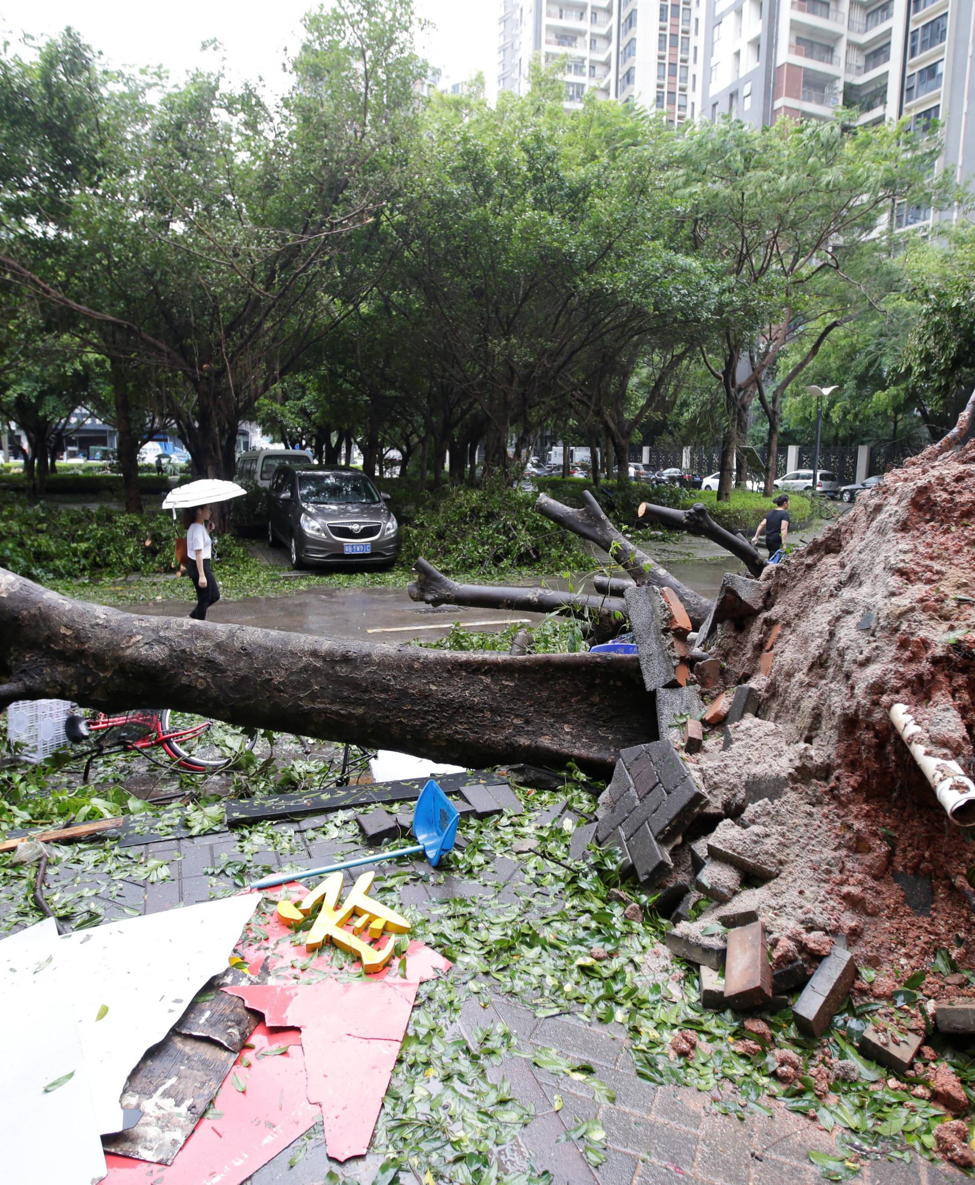 People walk past an uprooted tree after Typhoon Mangkhut hit Shenzhen