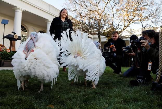 U.S. President Joe Biden hosts the 74th National Thanksgiving Turkey Presentation at the White House in Washington