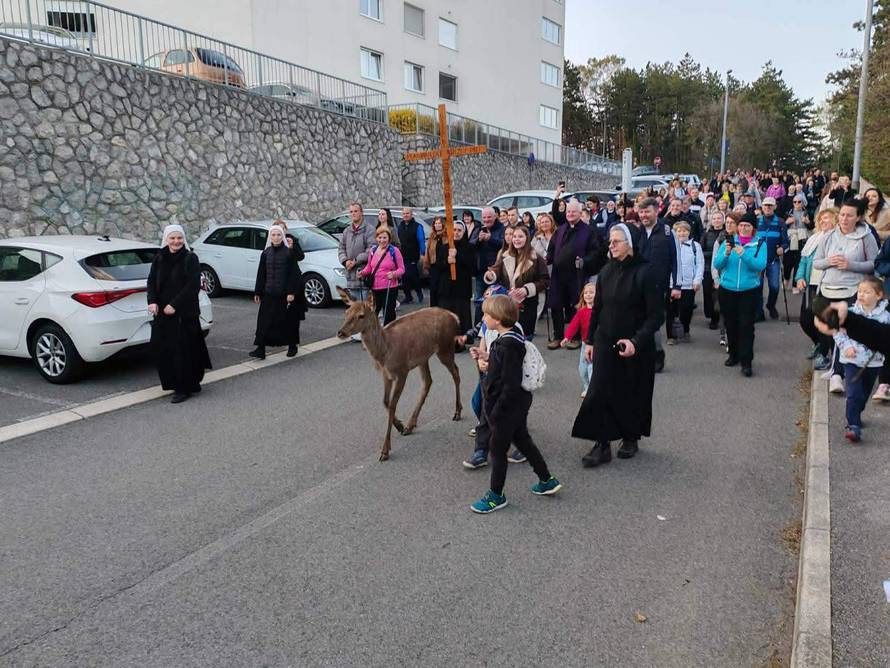 FOTO Neobičan gost na križnom putu u Rijeci:  'Srna je posebno obradovala djecu, pitoma je'