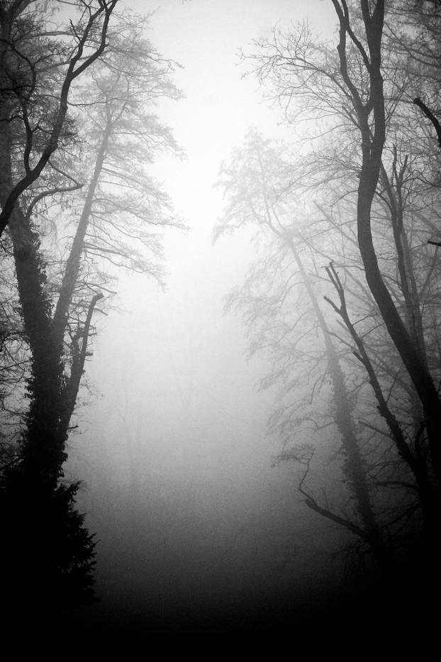 Zagreb: Gusta magla sakrila boje parka Maksimir