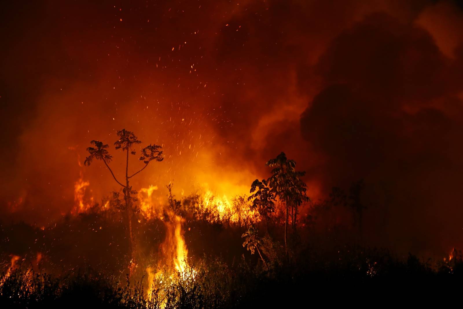 The Wider Image: In Brazil, it's not just the Amazon that's burning. The world's largest wetland is on fire too