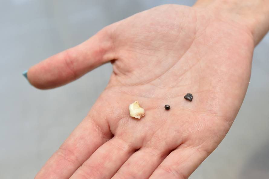 Raznijeli su joj njušku sačmom: 'Nemoguće da je bilo slučajno'