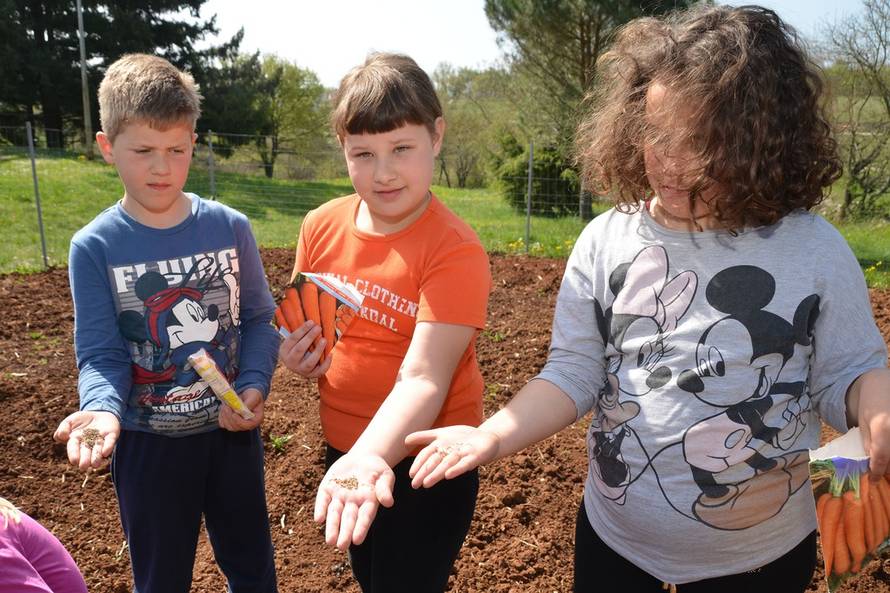 Duško Marušić/Pixsell