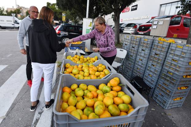 Šibenik: Mandarine iz doline Neretve prodaju se na ulicama grada