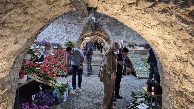 FOTO Cvjetni spektakl u Slavonskom Brodu: Florafest okupio više od 50 izlagača