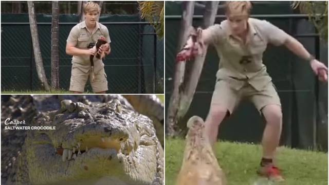 VIDEO Sina Stevea Irwina napao golemi krokodil za vrijeme snimanja emisije: 'Bježite svi!'