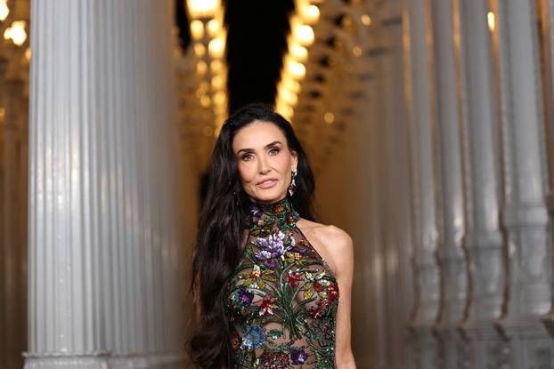 14th annual Los Angeles County Museum of Art (LACMA) Art+Film Gala in Los Angeles