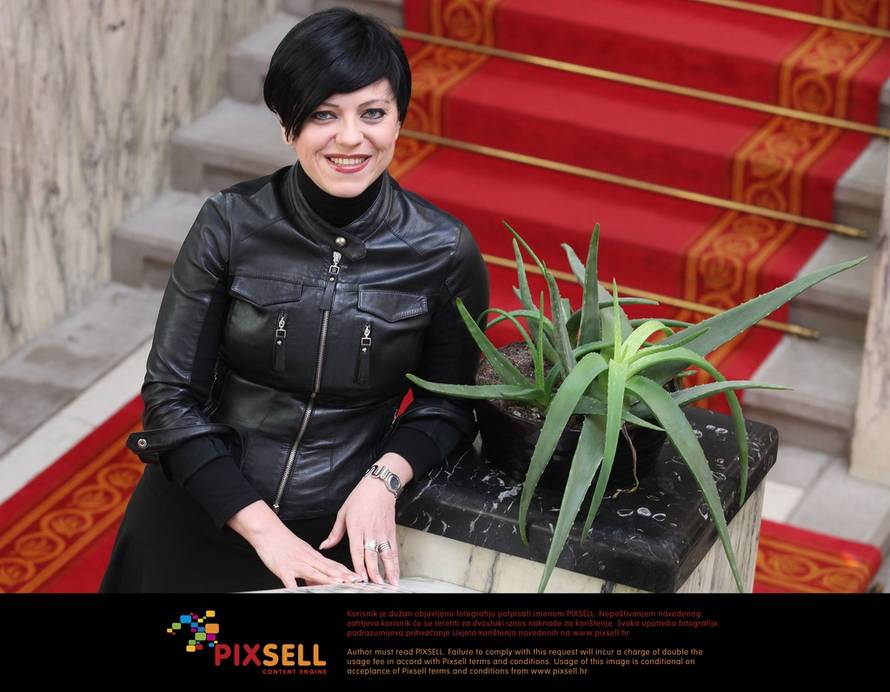 Patrik Macek/PIXSELL