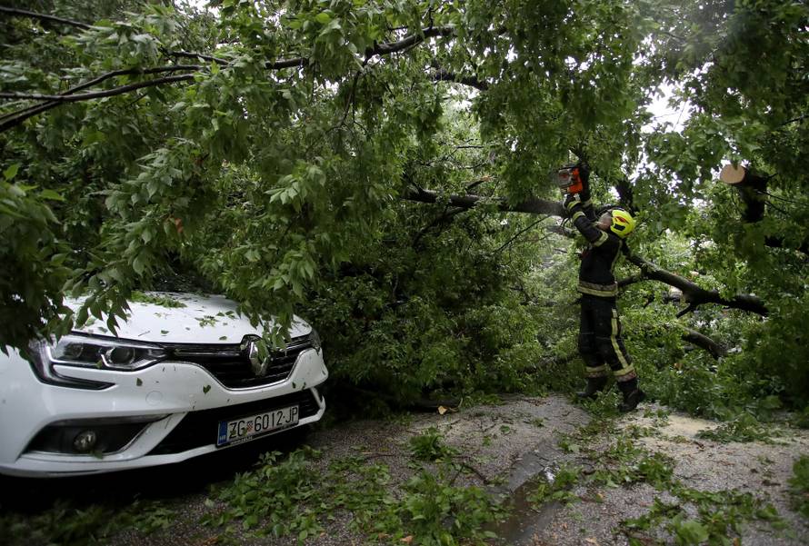 Zagreb: Na četiri automobila srušilo se stablo tijekom nevremena