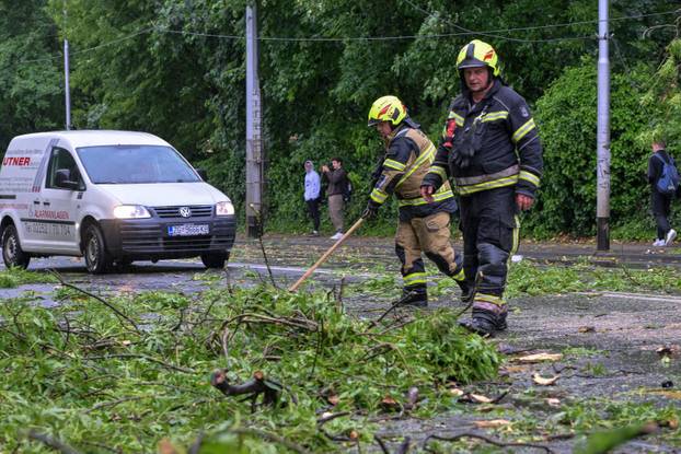 Zagreb: Palo stablo na Maksimirskoj, blokiran promet, vatrogasci na terenu