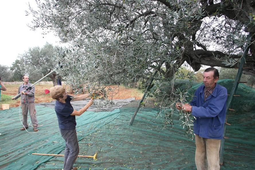 Duško Marušić/PIXSELL