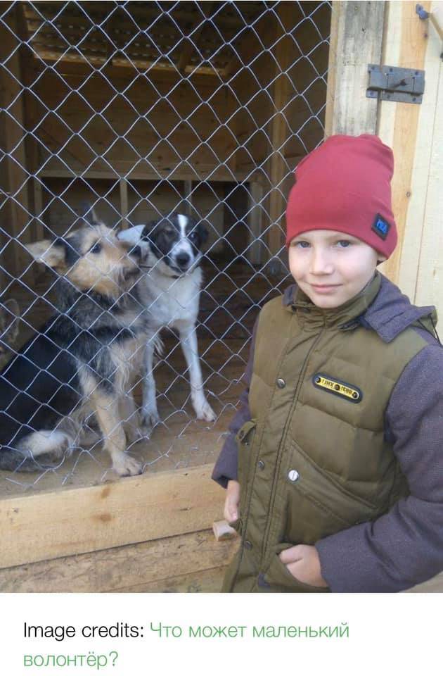 Talentirani dječak mijenja svoje slike da pomogne psima u azilu