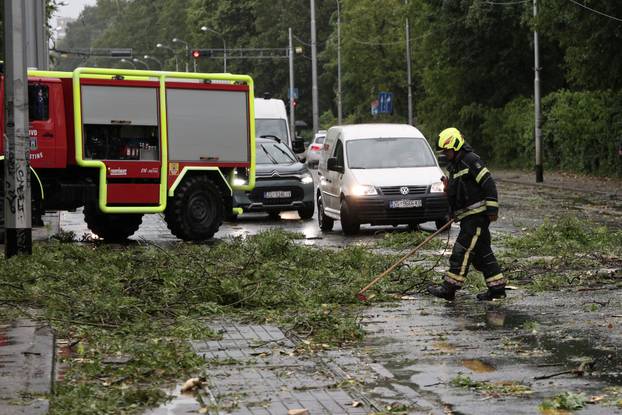 Zagreb: Palo stablo na Maksimirskoj, blokiran promet, vatrogasci na terenu