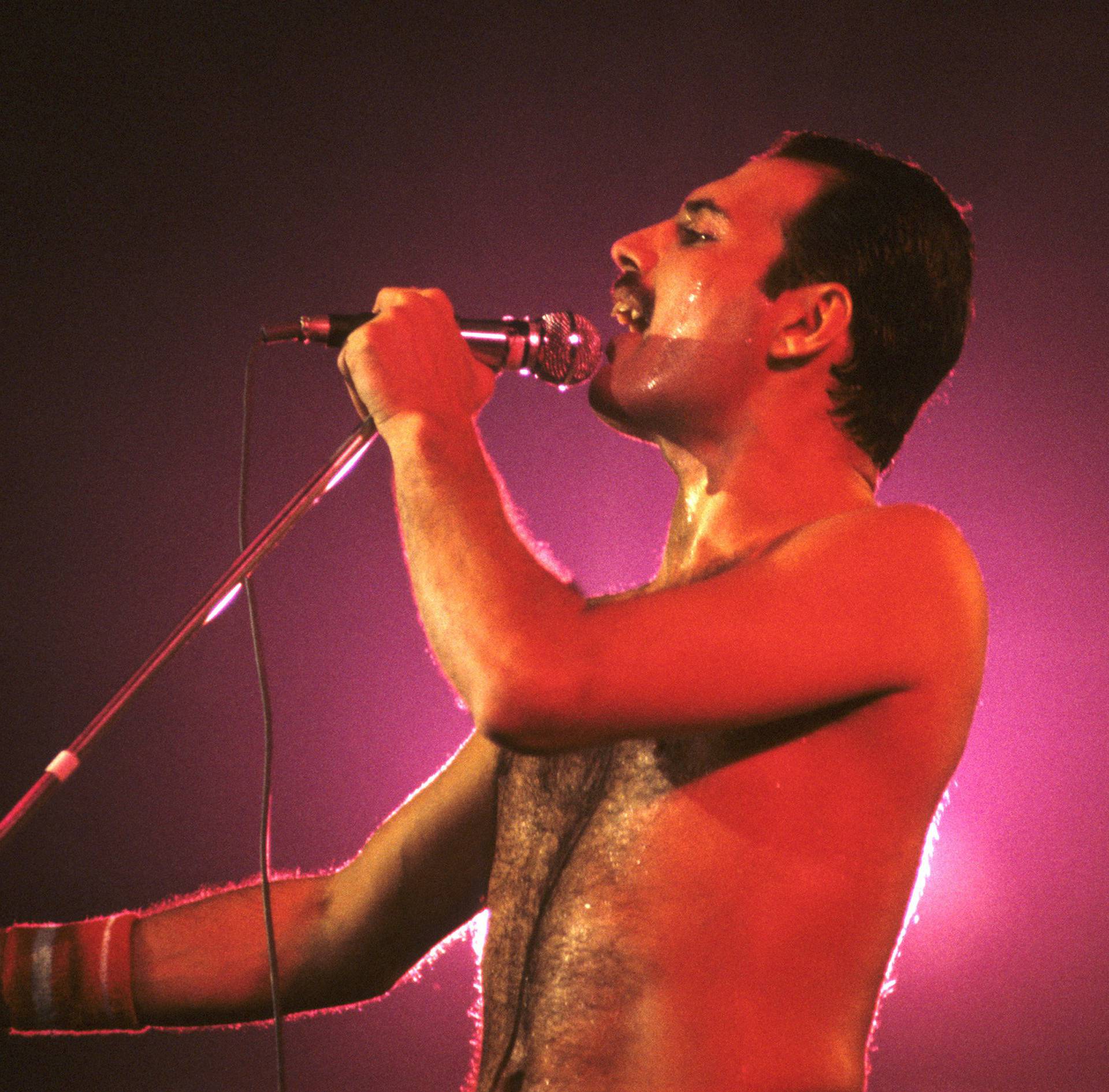 Queen live in London 1984