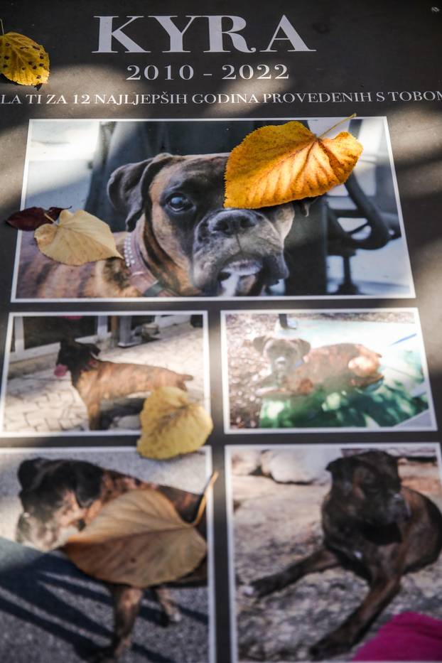 Zagreb: Groblje kućnih ljubimaca u Dumovcu obišao je jedino jedan mačak