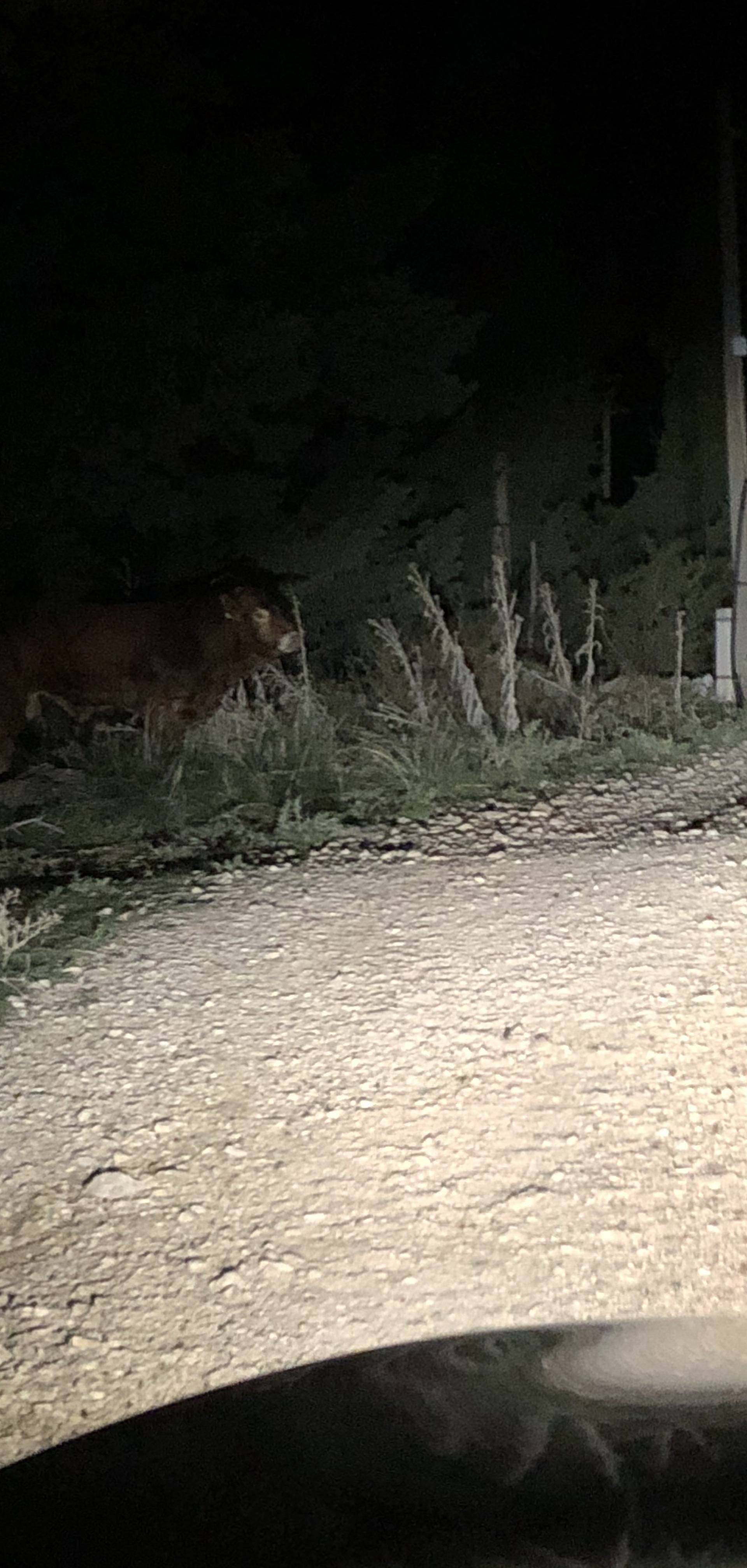 Ovo je posljednja slika Jerryja: Stajao je ispred kuće neke žene