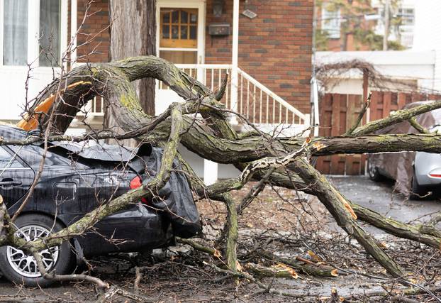 Damage after freezing rain and strong winds in Montreal