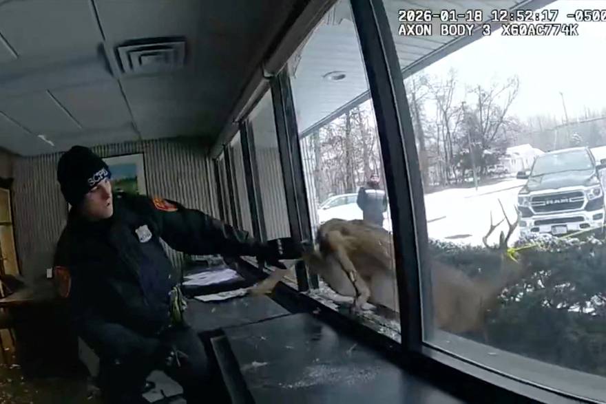 Policajci otkrili neobi&ccaron;nog provalnika