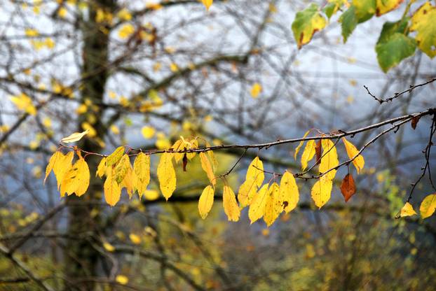 Vodice: Jesenja mističnost Ćićarije