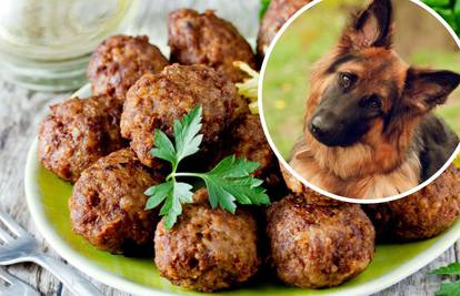 Oduševite ljubimca: Recept za slasne pseće mesne okruglice