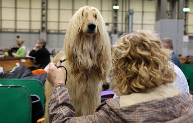Crufts, Thursday