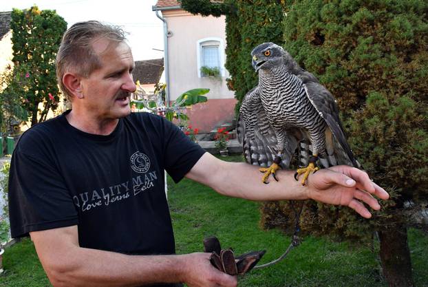 Sokolar Stjepan Alaber iz Zagrađa pokraj Pleternice