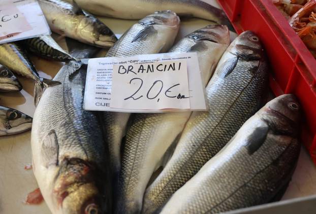Šibenik: Bogata ponuda u šibenskoj ribarnici
