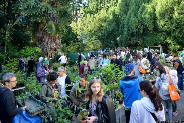 Zagreb: Veliki interes izazvala je godišnja rasprodaja viška biljaka u Botaničkom vrtu