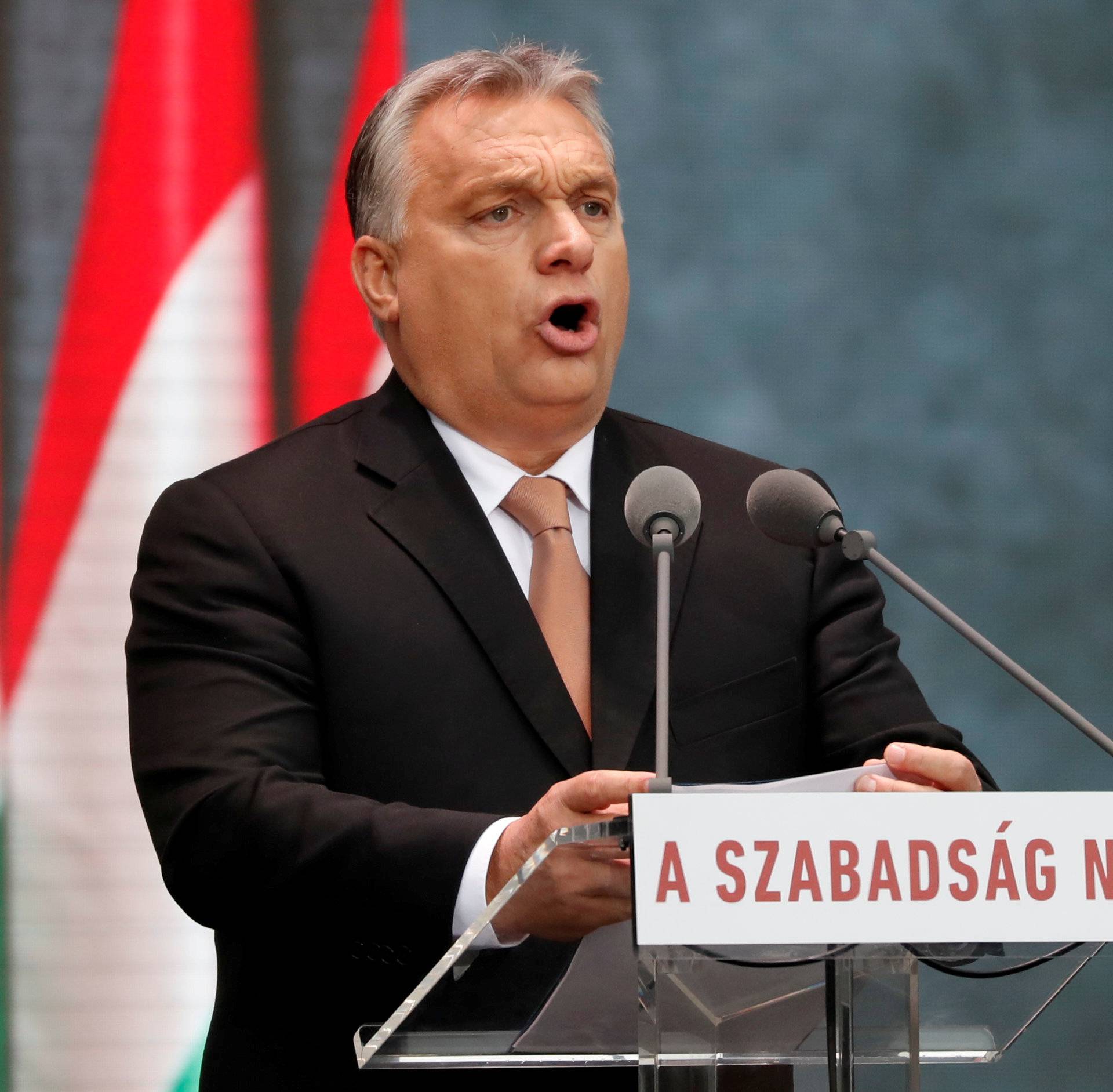 FILE PHOTO: Hungarian Prime Minister Viktor Orban delivers a speech during the celebrations of the anniversary of the Hungarian Uprising of 1956, in Budapest