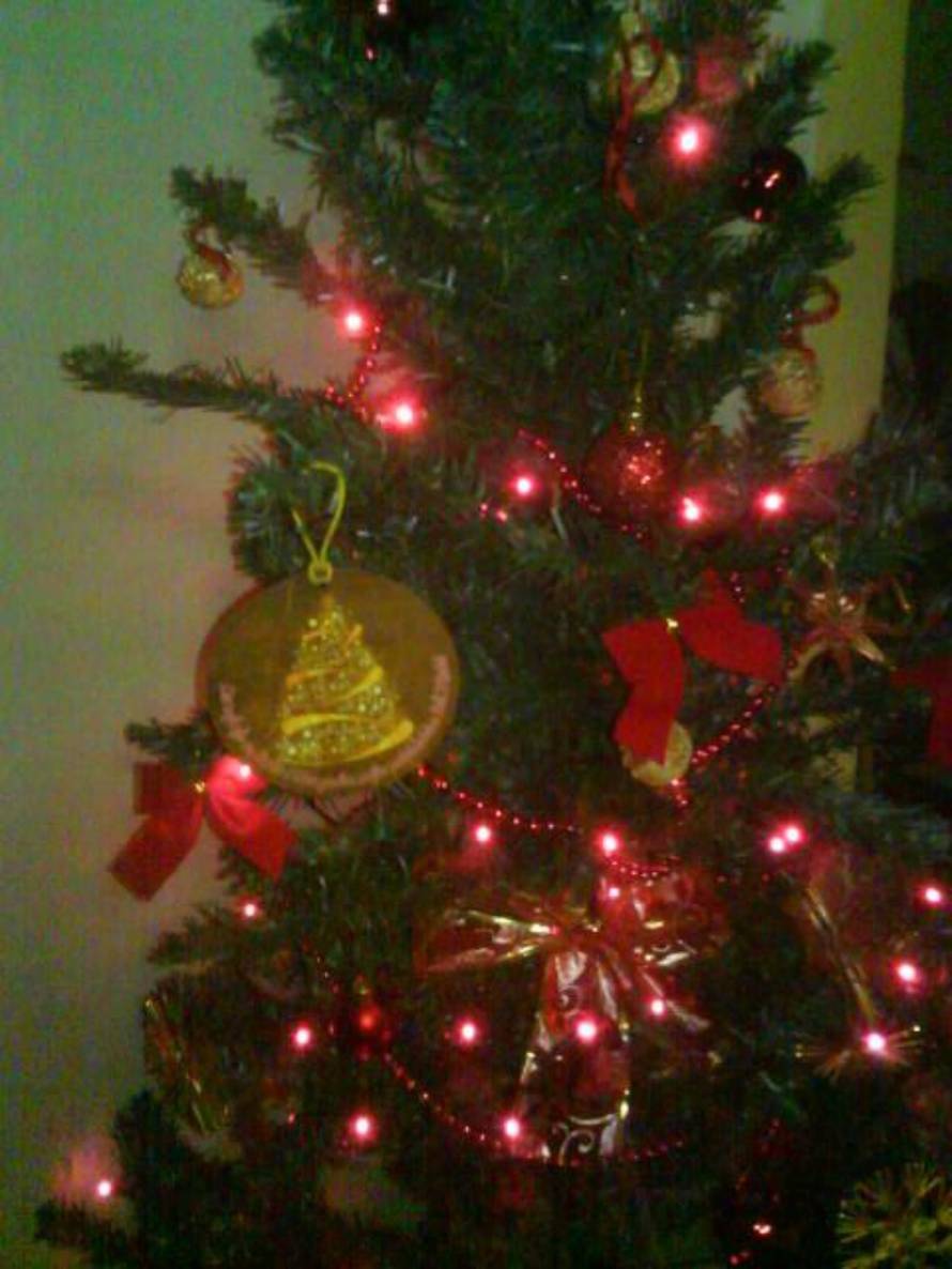 Šaljite fotografije božićnih jelki i osvojite vrijednu nagradu...