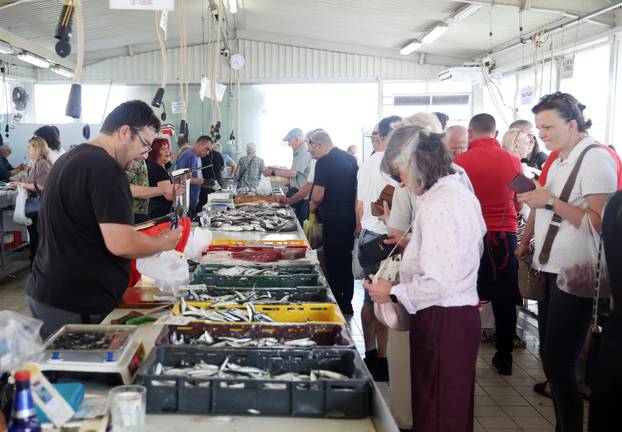 Šibenik: Bogata ponuda u šibenskoj ribarnici