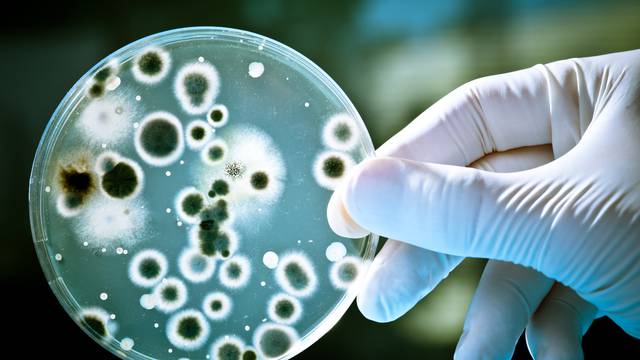 Bakterije otporne na antibiotike otkrivene su čak i u oblacima