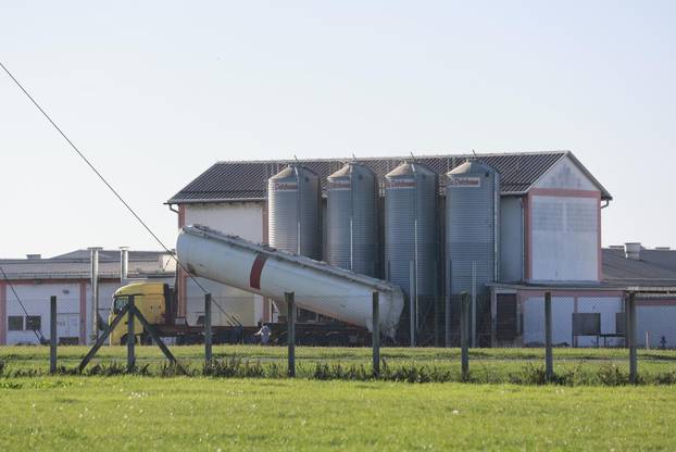 Sokolovac: Kreće eutanazija svinja, uvode se novi sigurnosni protokoli