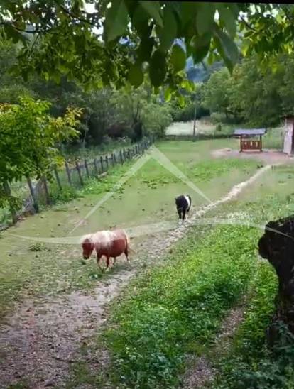 FOTO Vila kod Jastrebarskog je hit! 'Dobijete i potočić, rakove i mini ponije'. Pogledajte cijenu