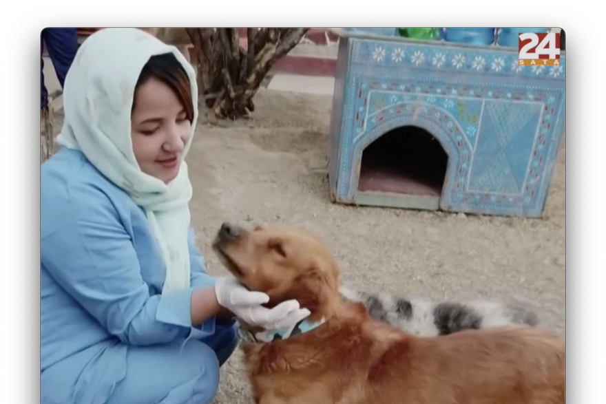 Veterinarka strahuje da će ostati bez posla kad Talibani preuzmu vlast u Afganistanu