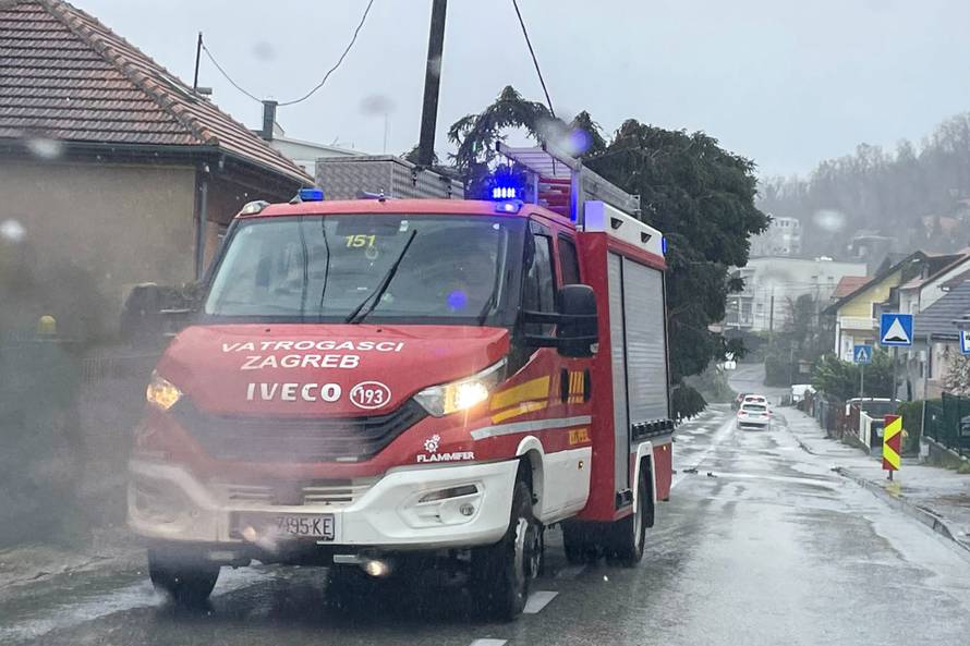 Palo drvo u ulici Fraterščica u Zagrebu